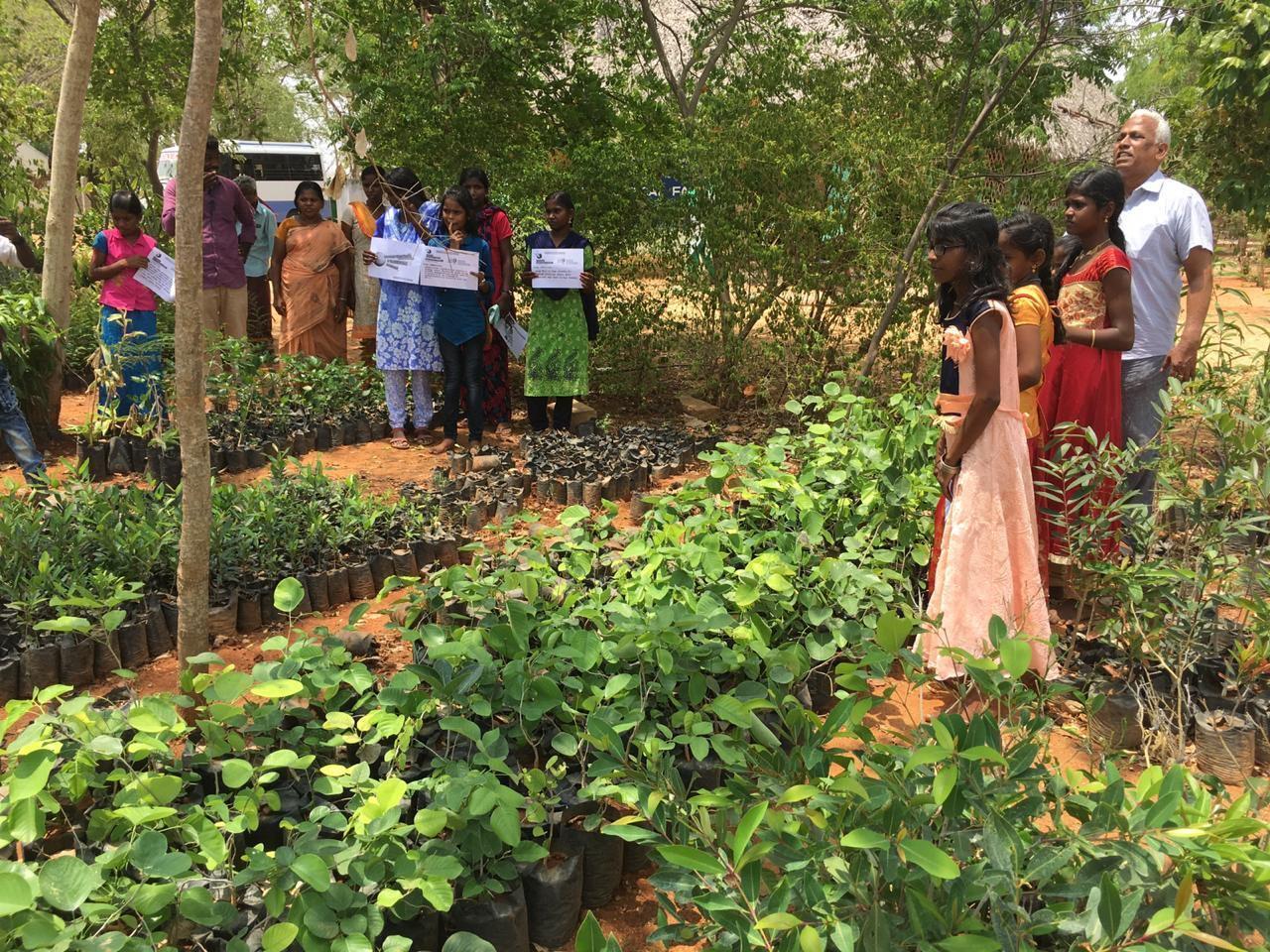 Nursery Raising at Kolunji Ecological Farm