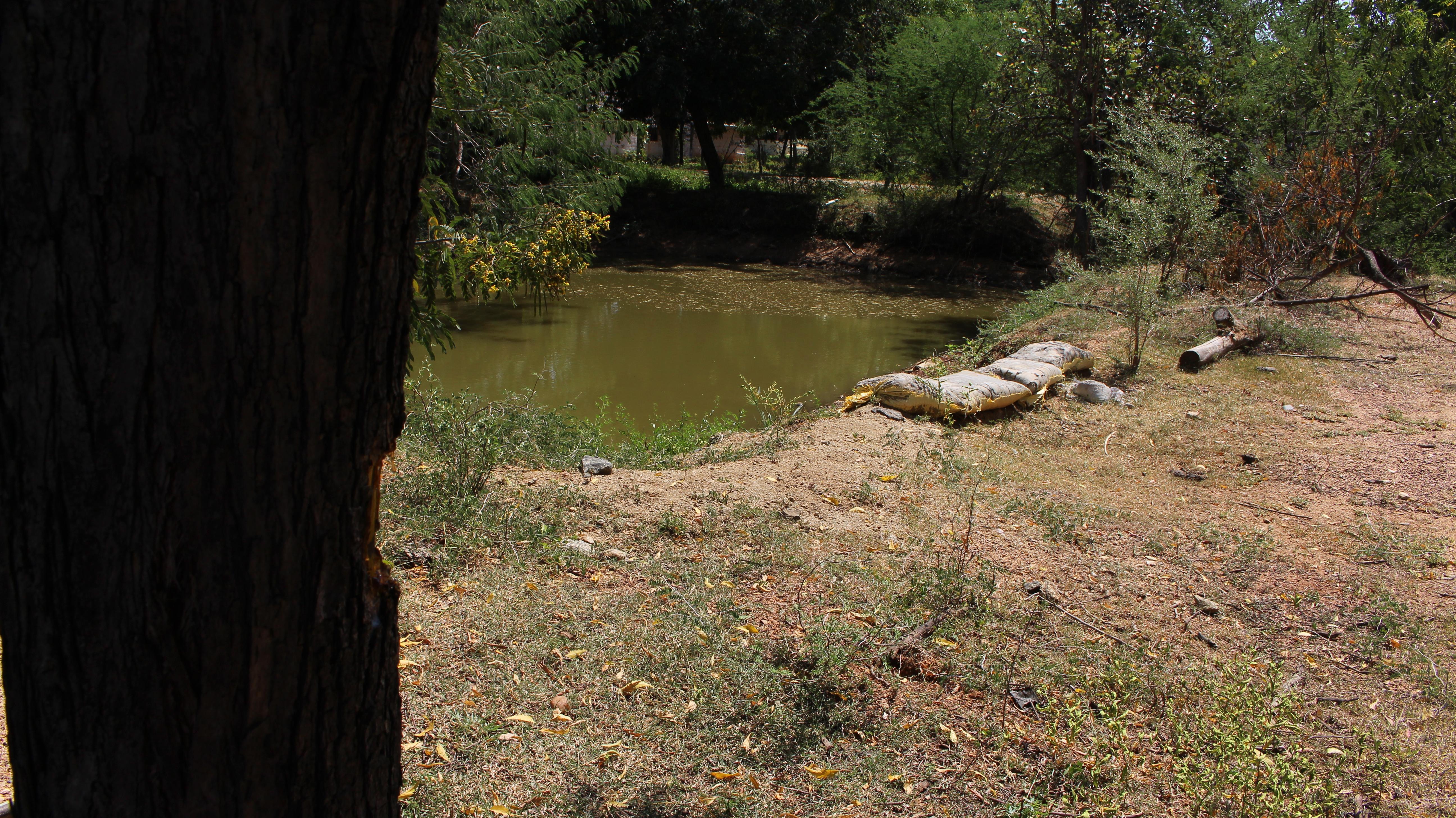 Restoration and Management of Community Water Bodies