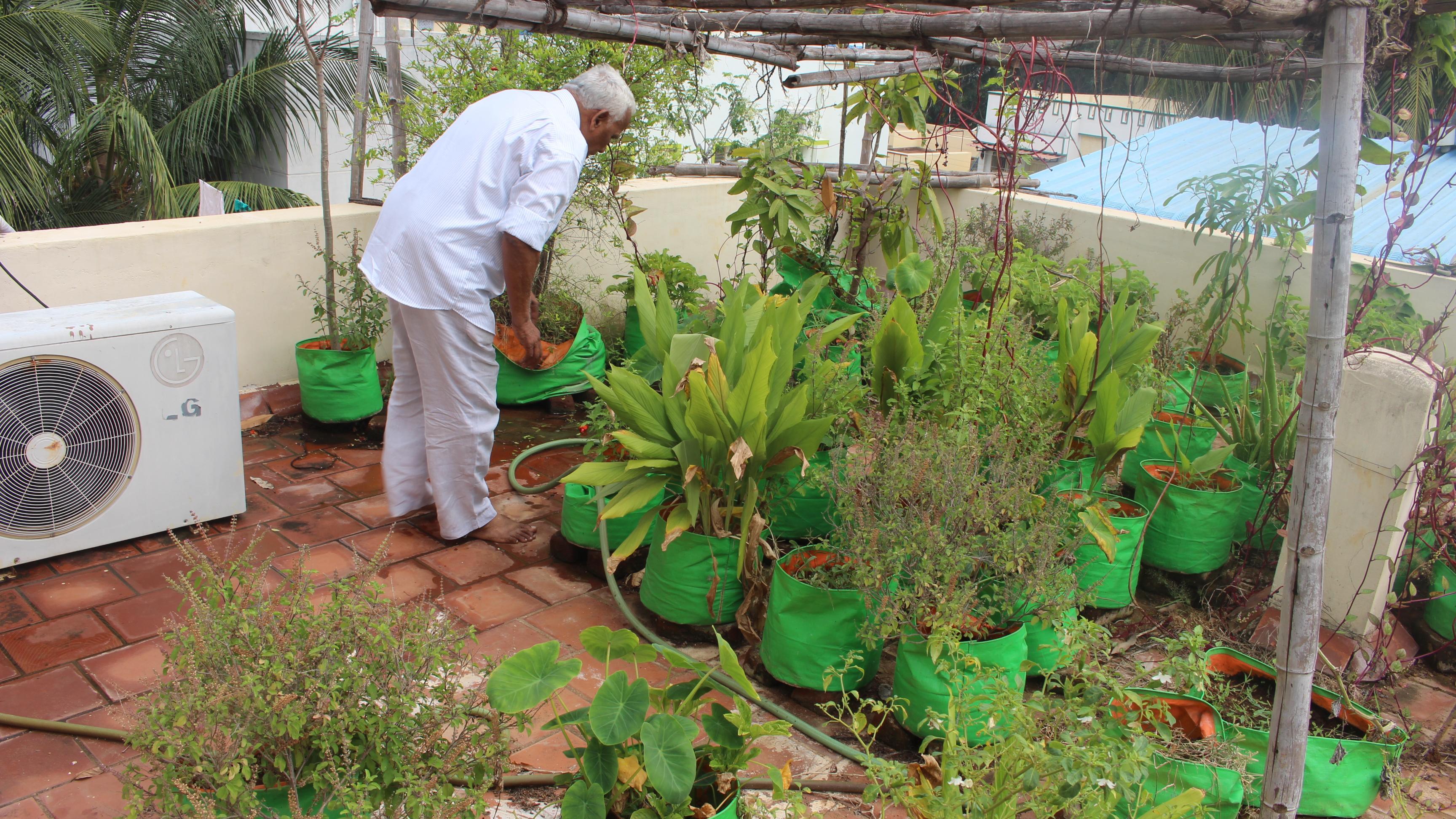 Roof Top Garden Training