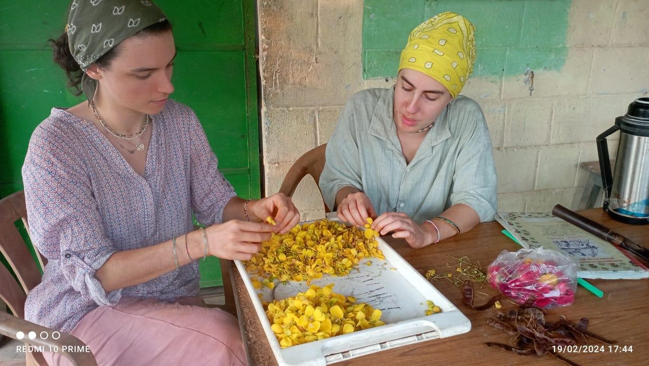 Value Addition of herbal leaves and flowers