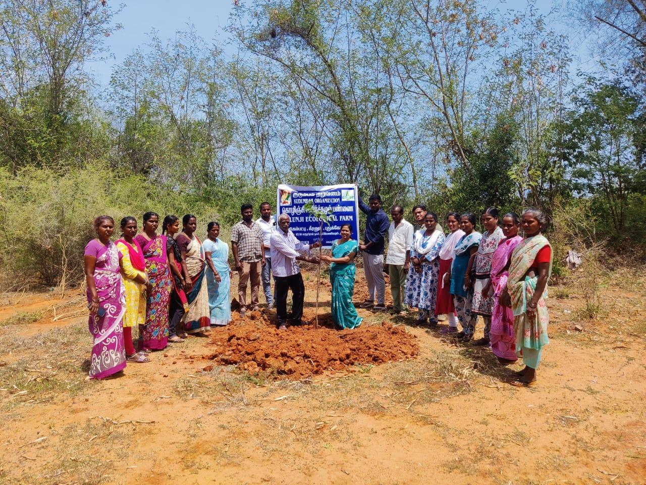 World Environment Day celebration at Kolunji and at Thammadipatti village